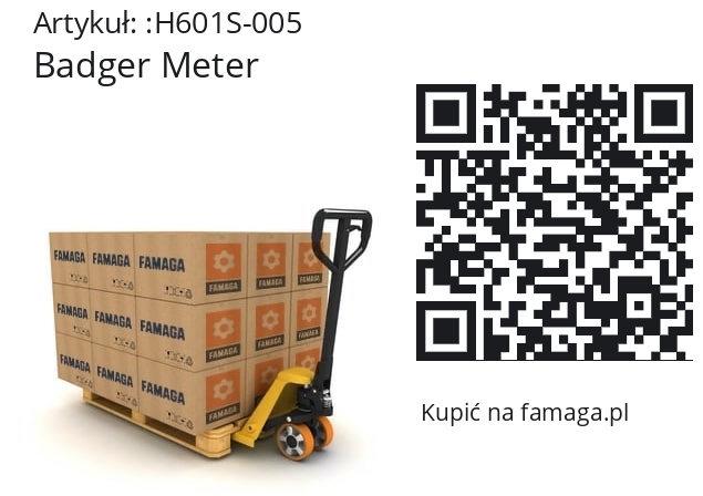   Badger Meter H601S-005