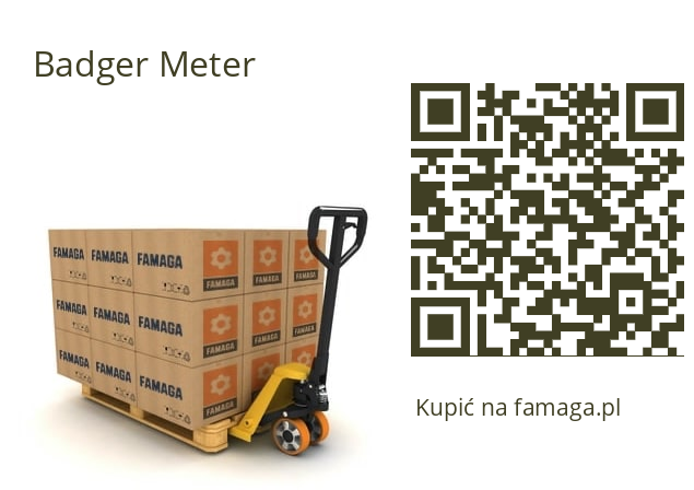  IOG BSP Badger Meter 