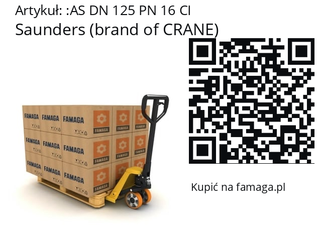  Saunders (brand of CRANE) AS DN 125 PN 16 CI